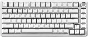 YUNZII B75 Mechanical Keyboard,75% Layout with Knob,Hot Swappable RGB Backlit Gasket Mounted, Creamy Typing, Double-Shot PBT Keycaps,Cherry Profile,for Win/Mac (White, Milk V2 Linear Switch)