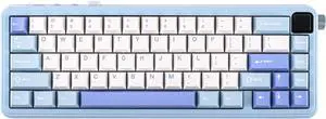 EPOMAKER HE65 MEC Wireless Mechanical Keyboard with Screen and Knob, 2ms Latency, RGB Backlight, Gasket Mount, Hot Swappable, N-Key Rollover (BlueWhite)
