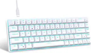 Mllepjdh 68Keys Mechanical Keyboard Double Shot Hot-Swappable Clicky Switches With Backlights Option USB C Data Cable