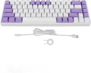 68 Key Red Switch Mechanical Keyboard, RGB Backlit, 60% Compact Layout, USB C Wired Gaming Keyboard for PC with USB Port, Ergonomic Design, Blueberry Theme Keycaps