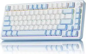 EWEADN GS75 Wireless Mechanical Keyboard ASMR, 75% Gaming Keyboard Gasket Hot Swappable Custom Keyboards with RGB, Knob, PBT Keycaps BT5.0/2.4G/USB-C Creamy Keyboards Blue & White