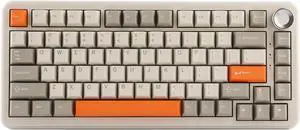 AJAZZ AK820 MAX Upgraded 75% Gasket Mechanical Keyboard, BT5.0/USB-C/2.4GHz Wireless Gaming Keyboard with 8000mAh Battery, Flex-Cut PCB, PC Plate, RGB for Win/Mac (Retro White)