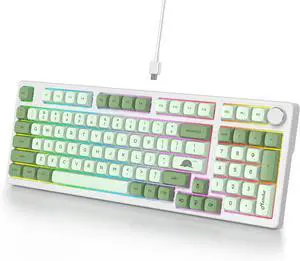 Ussixchare Wired Creamy Gaming Keyboard with Number Pad, 96% Hot-swappable Mechanical Keyboard, Full Layout Custom Keyboard Gasket Mounted with Red Switch Knob ControlGreen