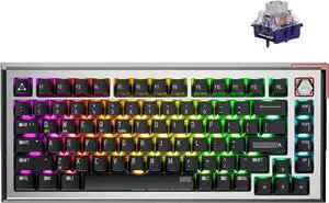 DrunkDeer A75 Ultra Rapid Trigger Keyboard, 75% Esports Gaming Keyboard, Magnetic Switch - Adjustable Actuation - 0.01mm, RT Plus, RT Match - 8K HzANSIBlack - Qian Switch