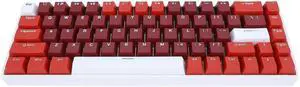 68 Key Mechanical Keyboard, Red Switch 60% Gaming Keyboard RGB Dynamic Backlit, Type C/BT 5.0/2.4Ghz 3 Mode Connection, 3000mAh Battery for iOS