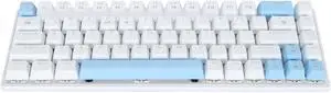 60% Mechanical Gaming Keyboard, Mechanical Keyboard with Blue Switches, RGB Backlit, BT5.0 2.4G USB C, Wired Keyboard for Smartphones Laptops Tablets (Blue White)