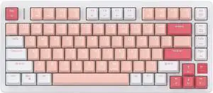 FE75Pro Wireless RGB Hot Swappable Mechanical Keyboard, Three-Layer Dampening 81 Keys Gaming Keyboard, Customizable Backlit, USB-C/2.4GHz/Bluetooth- White/Red