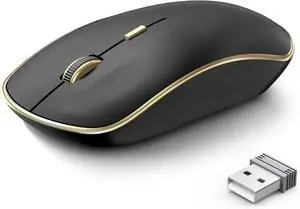 Silent Wireless Mouse, Portable USB Mouse with 5 Adjustable DPI Levels for Desktop, Notebook, MacBook, Chromebook, PC (Black Gold)
