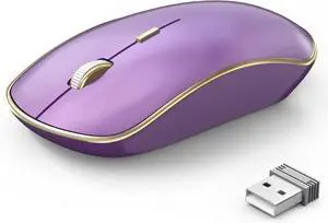 Wireless Mouse - 2.4G Portable & Ergonomic with 5 DPI Levels for Desktop, Notebook, PC & Laptop (Purple)