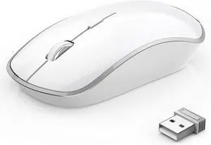 Wireless Mouse for Laptop, Silent Stream line Optical Cordless Mouse with USB Nano Receiver and High Precision 2400 DPI-Silver+White