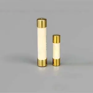 1PCS fever-grade silver alloy fuse 5X20 6X32 gold-plated cap 6X32 audio amplifier CD fuse 500mA/1A/3A15/5A/8A/10A/15A 1PCS fever-grade silver alloy fuse 5X20 6X32 gold-plated cap 6X32 audio amplifier CD fuse 500mA/1A/3A15/5A/8A/10A/15A