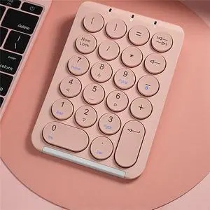 Wireless Numeric Keyboard Bluetooth Numeric Keyboard Round Keycap Numeric Keyboard 22 Keys Rechargeable Numeric Keyboard (Pink)
