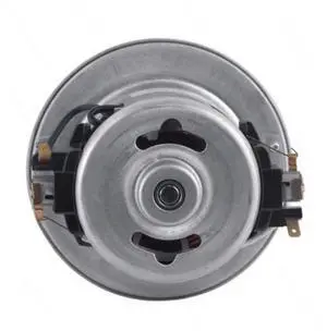 L10s Vacuum Cleaner Motor Replacement