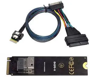 JAENFONG NGFF M-Key NVME to SFF-8654 Slimline SAS Card Adapter and U.2 U2 SFF-8639 NVME PCIe SSD Cable for Mainboard SSD