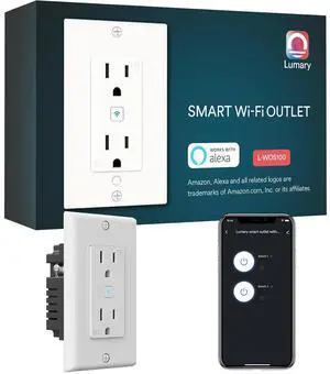 Standard Electrical Outlet, Smart in Wall Outlet Work with Alexa Google Home ETL FCC Certified 2.4G WiFi with Screws 1 Pack