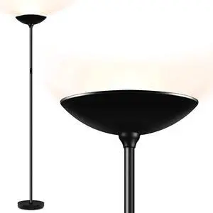 BoostArea Floor Lamp/Standing Lamp, 20W 2000LM LED Torchiere Lamp, Stepless Dimmable, Touch Control, 3000K Daylight, 50000hrs Lifespan for Living Room, Bedroom