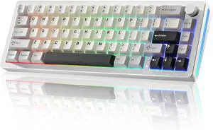 YUNZII AL66 Wireless Mechanical Keyboard,Full Aluminum CNC,65% Knob Control,Bluetooth/2.4G/Wired,Hot Swappable Pre-lubed Switches,Gasket Mounted RGB for Win/Mac(Milk Switch, Silver)