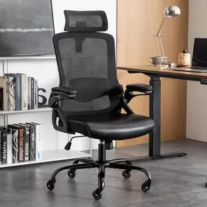 Ergonomic Office Chair, Desk Chair with Adjustable Lumbar Support, High Back Mesh Chair with Blade Wheels, Executive Chair for Home Office
