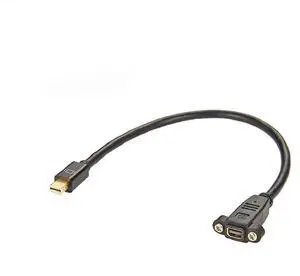 JAENFONG Mini Display port Male to Female Socket Panel Mount with Screw Extension Adapter Cable 30cm JAENFONG Mini Display port Male to Female Socket Panel Mount with Screw Extension Adapter Cable 30cm