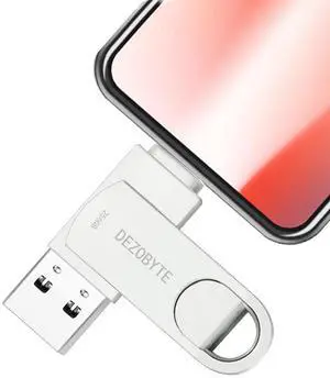 USB 256GB Flash Drive Photo Stick for Phone External Storage DEZOBYTE Compatible for i-Phone Pad Android USB C PC MS02 Silver
