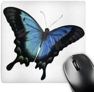 3dRose LLC 8 x 8 x 0.25 Inches Mouse Pad, Blue and Aqua Butterfly (mp_37351_1)