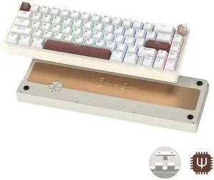 Womier SK65 Wireless Mechanical Gaming Keyboard with Knob, 60 Percent Aluminium Keyboard for PC, Bluetooth 5.0/2.4GHz/USB-C Wired, Hot Swappable Custom Lineaner Switch, RGB Backlit (Creamy White V2)