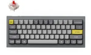 Keychron Q4 Wired Custom Mechanical Keyboard, 60% Layout QMK/VIA Programmable Macro with Hot-swappable Gateron G Pro Red Switch Double Gasket Compatible with Mac Windows Linux (Gray)