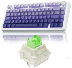 AULA F75 Pro Wireless Mechanical Keyboard,75% Gasket Hot Swappable Custom Keyboards+LEOBOG Reaper Keyboard Switches Set