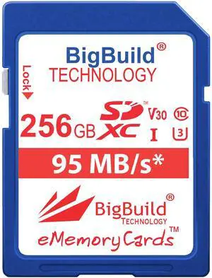 BigBuild Technology 256GB U3 SDXC Memory Card for Panasonic Lumix DC-S9/S9KE-A, DC-G9 II, GH7 Cameras