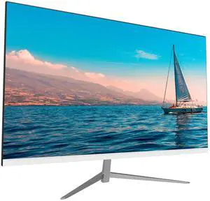 Raywego 24 Inch Gaming Monitor, FHD 1080P IPS 75Hz, 1ms Response Time, 99% sRGB, AMD FreeSync, Eye Care, HDMI×2 VESA Mount, for PC & Console Gamers