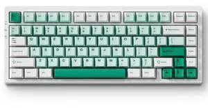 MCHOSE G75 PRO 75% Wireless Mechanical Keyboard, TKL Keyboards Tri-Mode BT5.0/2.4GHz/USB-C, Hot Swap Custom Creamy Keyboards Linear Switch, Double Shot PBT Keycaps RGB LED Backlit, White&Green