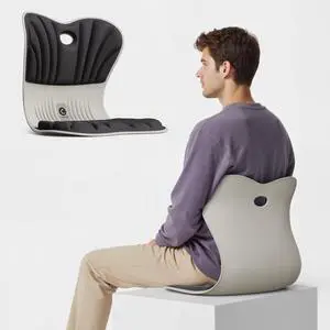 CABEVIBE M1 Ergonomic Chair Back Support Lumbar Support Seat Back Support Pain Relief Space Memory Foam Seat, Portable for Office Chair, Black