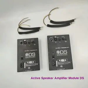 2PCS For Equator Audio DS Power Audio Active Speaker Amplifier Module DSP Monitor Speaker 5" 8" Loudspeaker Direct Field Monitor