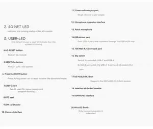 Pico Pi A W Onboard RV1106 Linux Development Board 256MB DDE3L 1TOPS Computing Power With WIFI Without 4G Module