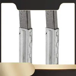 Ageryu 2Pcs Universal Vacuum Cleaner Motor Carbon Brush For Baiyun Industrial Vacuum Cleaner Accessories BF501 BF502-N33R
