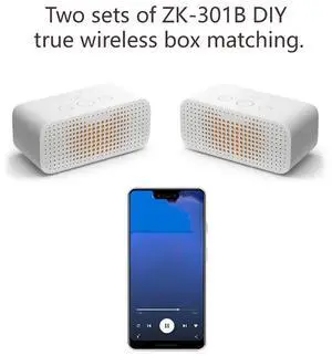 Ageryu ZK301B Mono 30W BT5.3 Digital Audio Amplifier Module Supports True Wireless TWS With APP DIY Simple Mono Amplifier Board-N33R