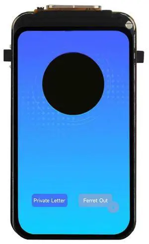 ESP32-C6 Development Board With ST7789 1.47 Inch LCD Wifi6 LVGL HMI SD-Port & RGB-LED-N33R