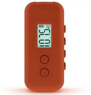 Pocket FM Radio LCD Display Radio Withlcd Display For50-108Mhz Foroutdoor Sports-N33R Pocket FM Radio LCD Display Radio Withlcd Display For50-108Mhz Foroutdoor Sports-N33R