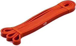 Fit Simplify Pull Up Assist Resistance Bands for Fitness, Physical Therapy, Stretching, Mobility and Exercise