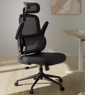 Hbada P1 Ergonomic Office Chair, Desk Chair with Adjustable Lumbar Support, Home Office Desk Chair with 2D Headrest, Flip-up Armrest, Swivel Computer Chair, Black