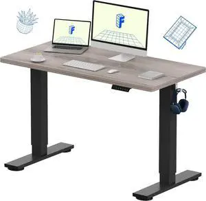 FLEXISPOT EN1 Whole-Piece Standing Desk 48 x 24 Inches Height Adjustable Electric Desk Sit Stand Desk Home Office Desks (Black Frame + Gray Wood Grain Top, 2 Packages)