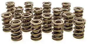 1.550 Dual Valve Springs (16) 1.550 Dual Valve Springs (16)