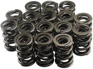 1.625 Dual Valve Springs (16) 1.625 Dual Valve Springs (16)