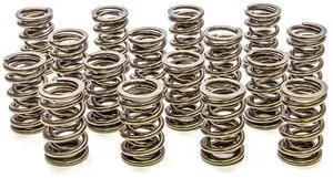 1.550 Dual Valve Springs (16) 1.550 Dual Valve Springs (16)
