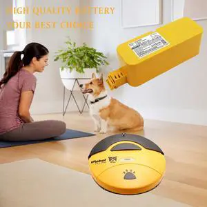 Cameron Sino battery for  Robby, Robby Deluxe, Robby Home XR