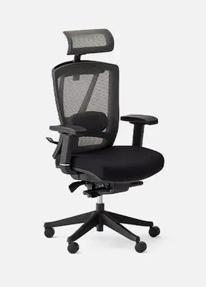 Autonomous ErgoChair Pro Ergonomic Office Chair Black - Foam