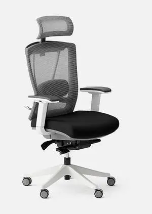 Autonomous ErgoChair Pro Ergonomic Office Chair Black & White - Foam