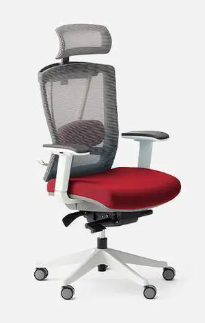 Autonomous ErgoChair Pro Office Chair Lumbar Support Red Apple - Foam
