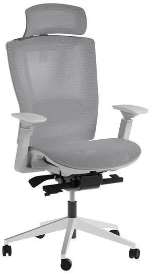 Autonomous ErgoChair Pro Office Chair Lumbar Support Cool Gray - Mesh