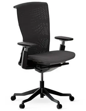 Autonomous ErgoChair Ultra 2 Ergonomic Office Chair Onyx Black - Without Headrest